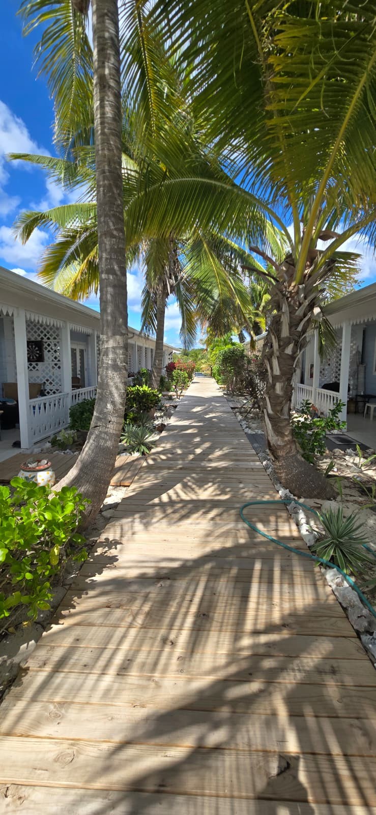 SEA FARERS ~ CAYMAN BRAC CONDO - Image 4